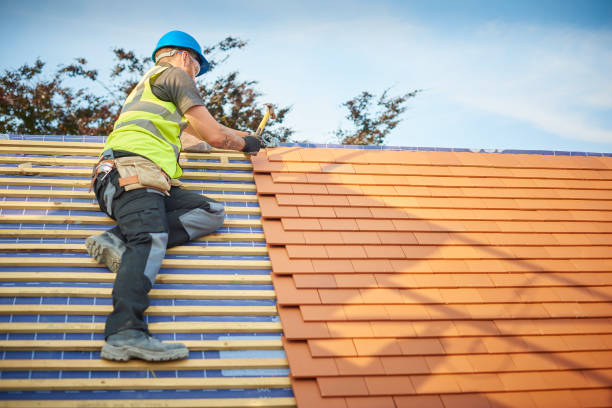 Best Storm Damage Roof Repair  in Humboldt, IA